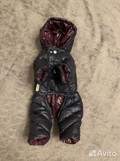 Комбинезон для небольшой собачки