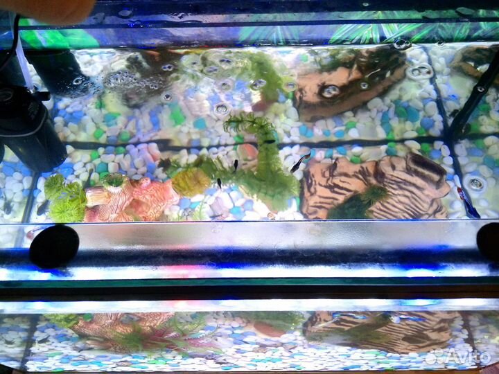 Аквариум с рыбками и освещением