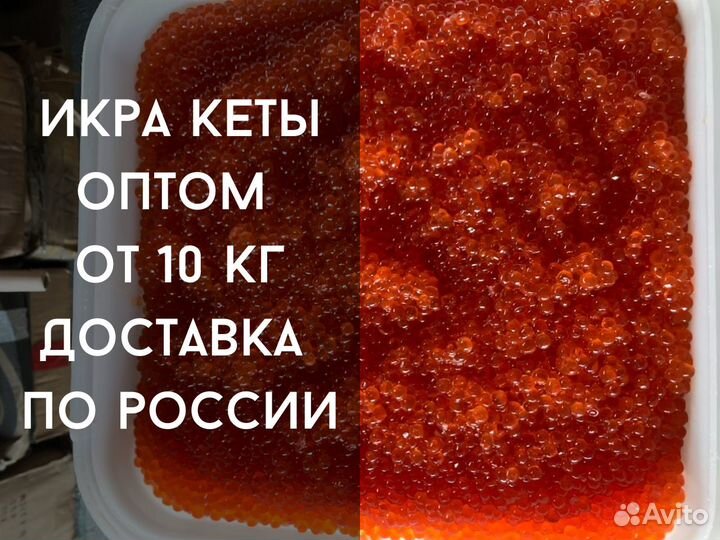 Красная икра Кеты от 10 кг