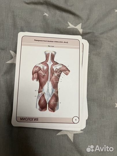 Карточки Сапина по Миологии