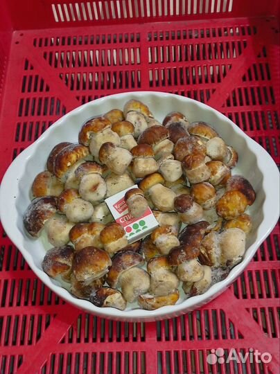 Грибы белые замороженные и сушеные