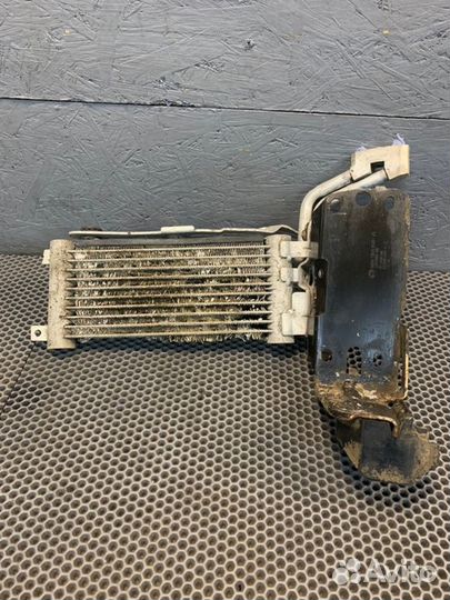 Радиатор масляный Bmw 335 Xi E92 N54 2007