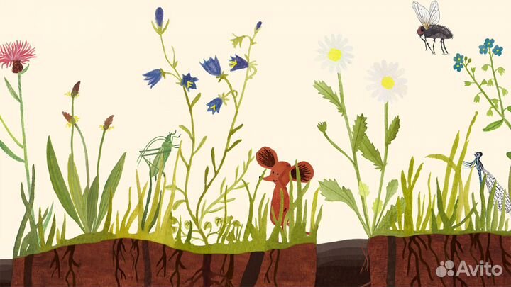 Little Mouse's Encyclopedia