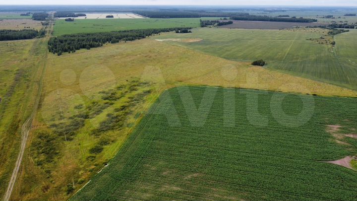 Участок 31,6 га (СНТ, ДНП)