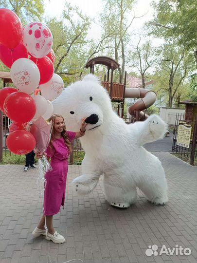 Аниматор,полярный мишка,белый,бурый мишка,зайка