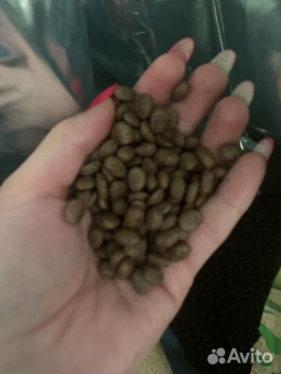 Корм для собак Acari ciar