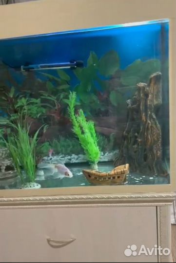 Аквариум с тумбой
