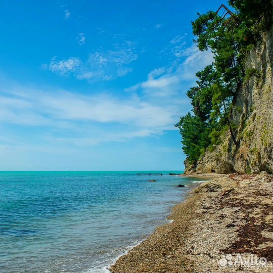 Йога и Арт практики на море. Абхазия 20-27 августа