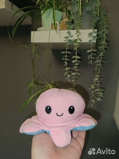 Осьминог перевертыш