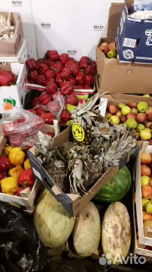 Овощи фрукты на корм животным