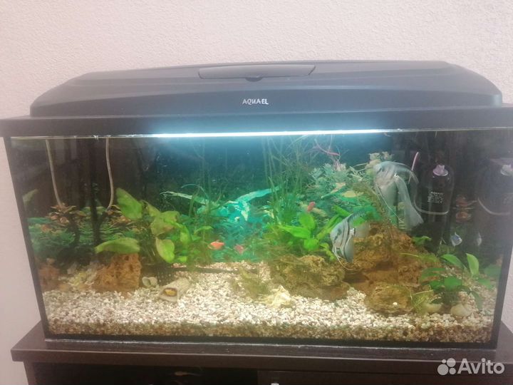Аквариум 100 литров акваэль