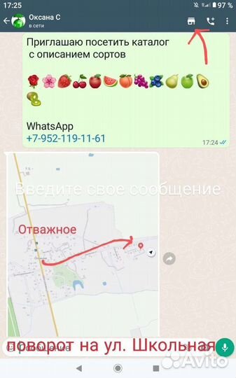 Роза Блэк Баккара чайно-гибридная