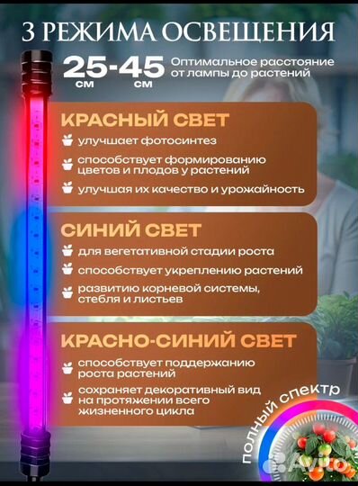 Фитолампа на штативе полный спектр