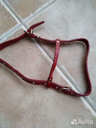 Шлейка для собаки натуральная лакированная кожа