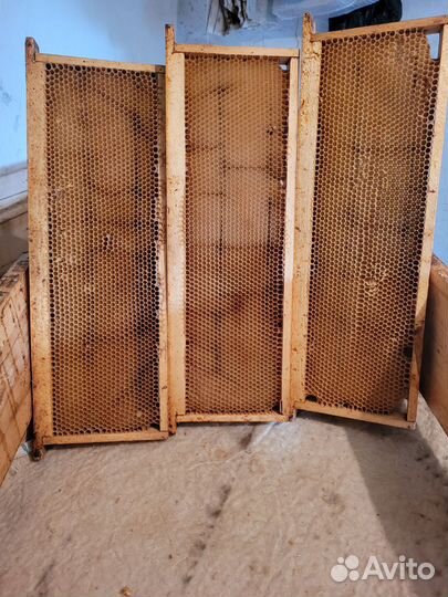 Сушь для пчел