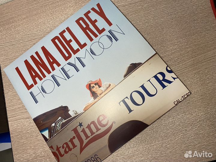 Виниловая пластинка