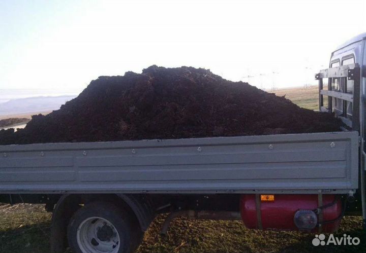 Перегной конский и коровий хорошо перегнивший