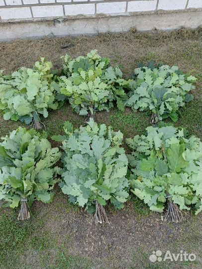 Веники для бани