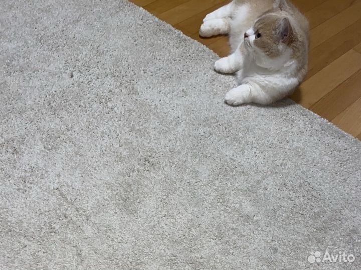 Ковер IKEA 80x150 см