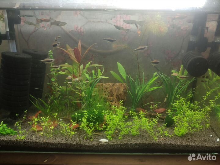 Аквариум
