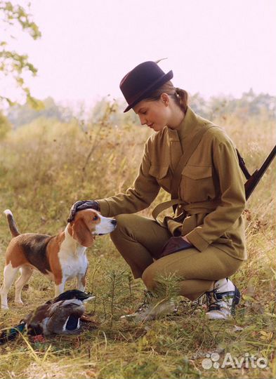 Собака для фотосессии/съёмок (бигль)