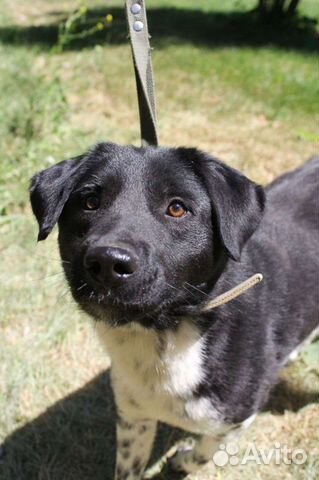 Замечательный мальчик Каен ждёт семью