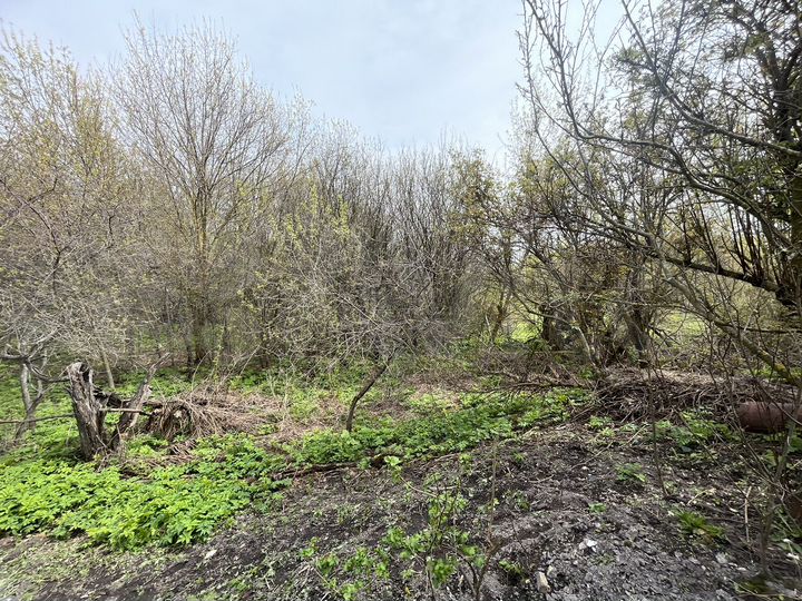 Участок 40 сот. (ИЖС)