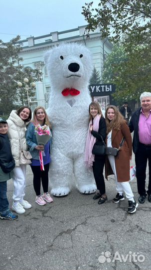 Белый мишка поздравление