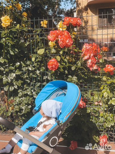 Коляска 2в1 stokke