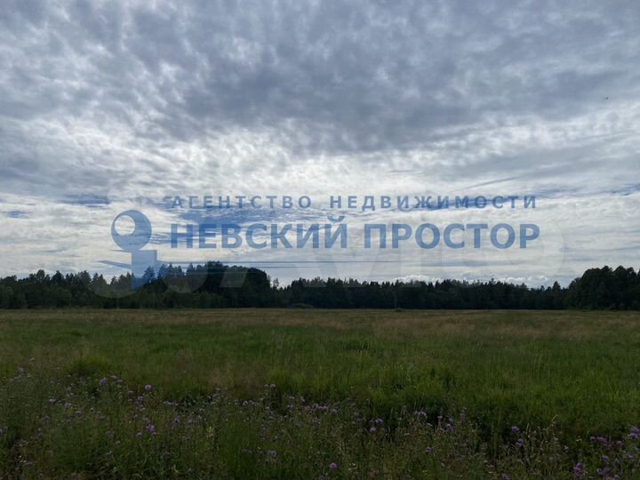 Участок 3,5 га (СНТ, ДНП)