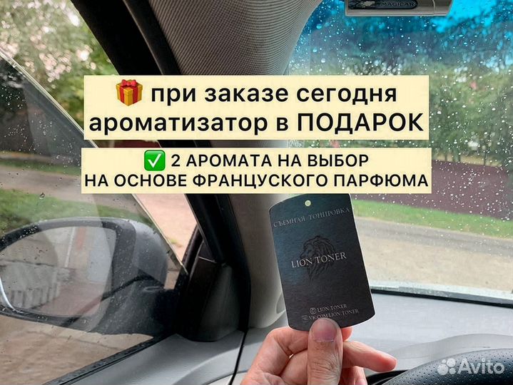 Съемная жесткая тонировка на статике