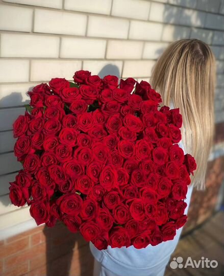 Цветы Букет 11 Роз 51 Роза 101 Роза Красные