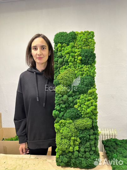 Панно из микса мха оттенки зеленых