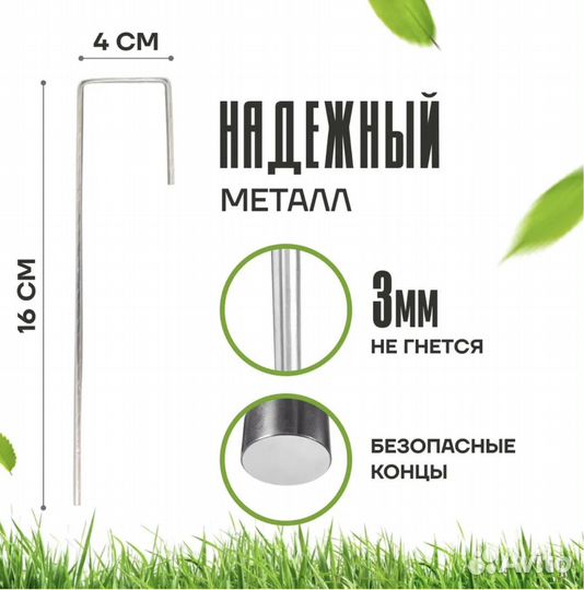 Растения для сада