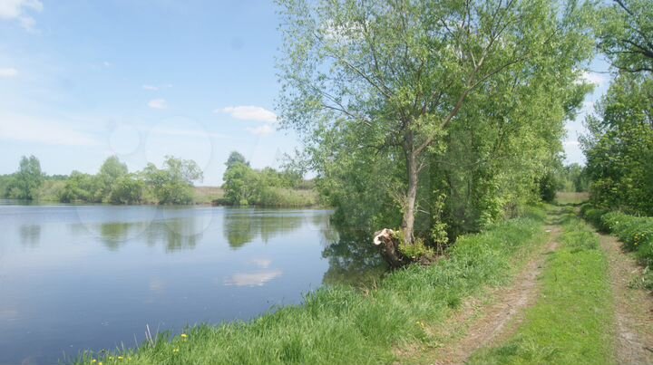 Участок 78 сот. (ИЖС)