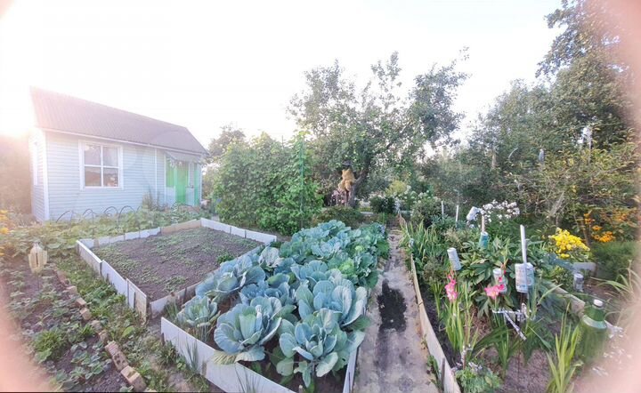 Участок 3,7 сот. (СНТ, ДНП)