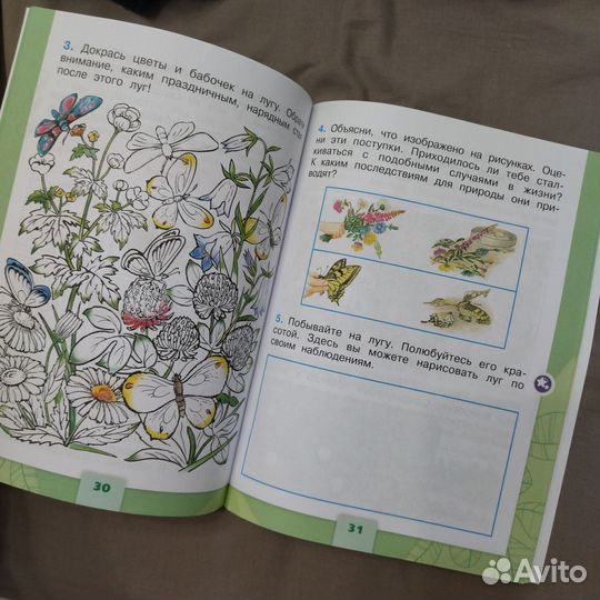 Рабочая тетрадь по окр. миру, 1 класс, 2 часть