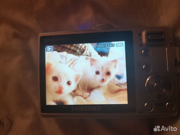 Котенок 1 месяц