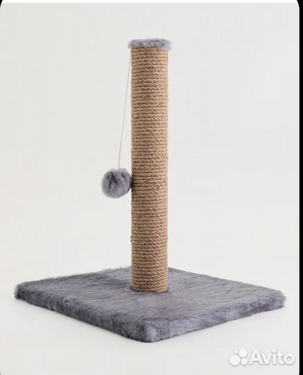 Когтеточка