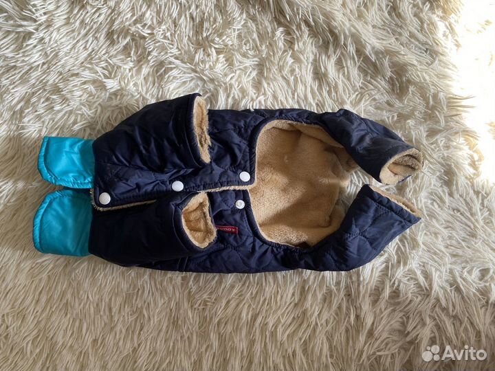 Одежда для собак мелких пород