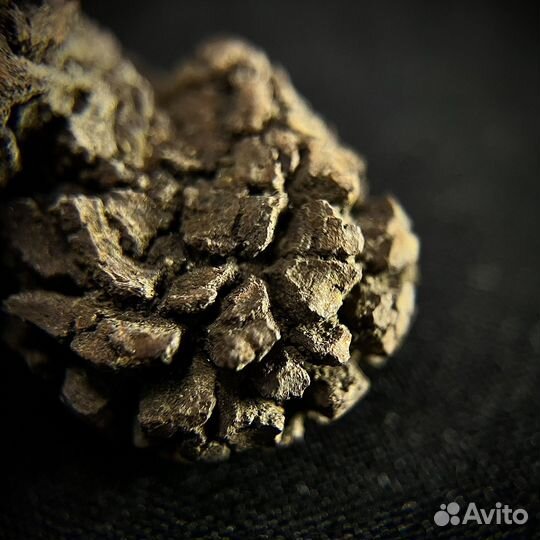 Копролит хищного динозавра окаменелость ископаемое