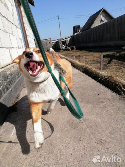 Девочка 8-9 месяцев