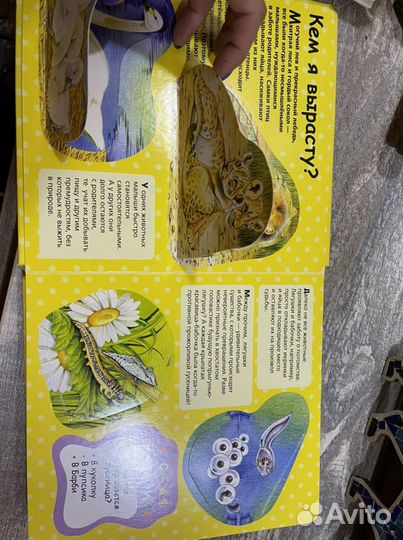 Детская энциклопедия с окошками и Млекопитаюшие