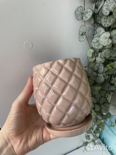 Горшок керамический и кашпо