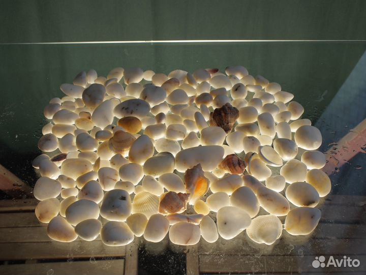 Морские камушки от