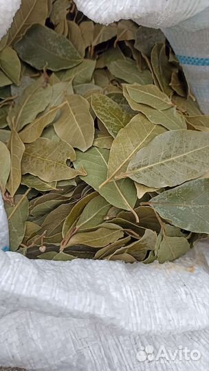 Лавровый лист (сухой)