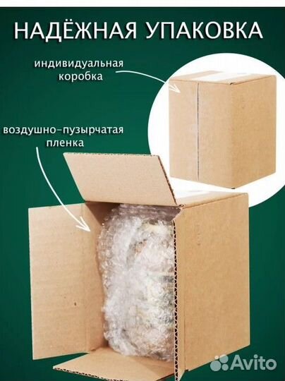 Чистейший мед Белой Акации