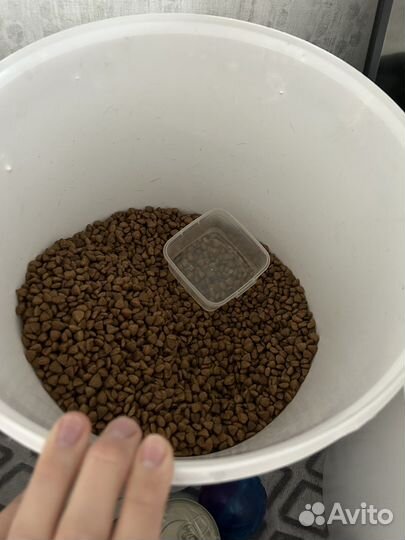 Корм Monge Hepatic для собак