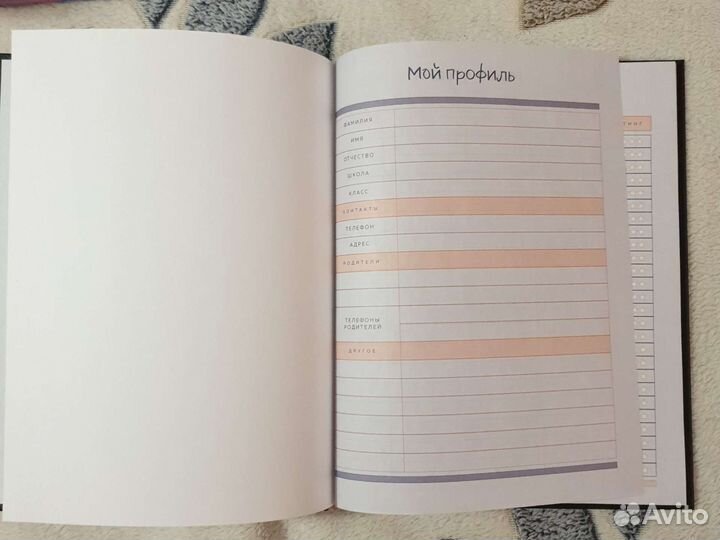 Школьный дневник