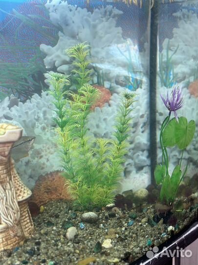 Аквариум с тумбой